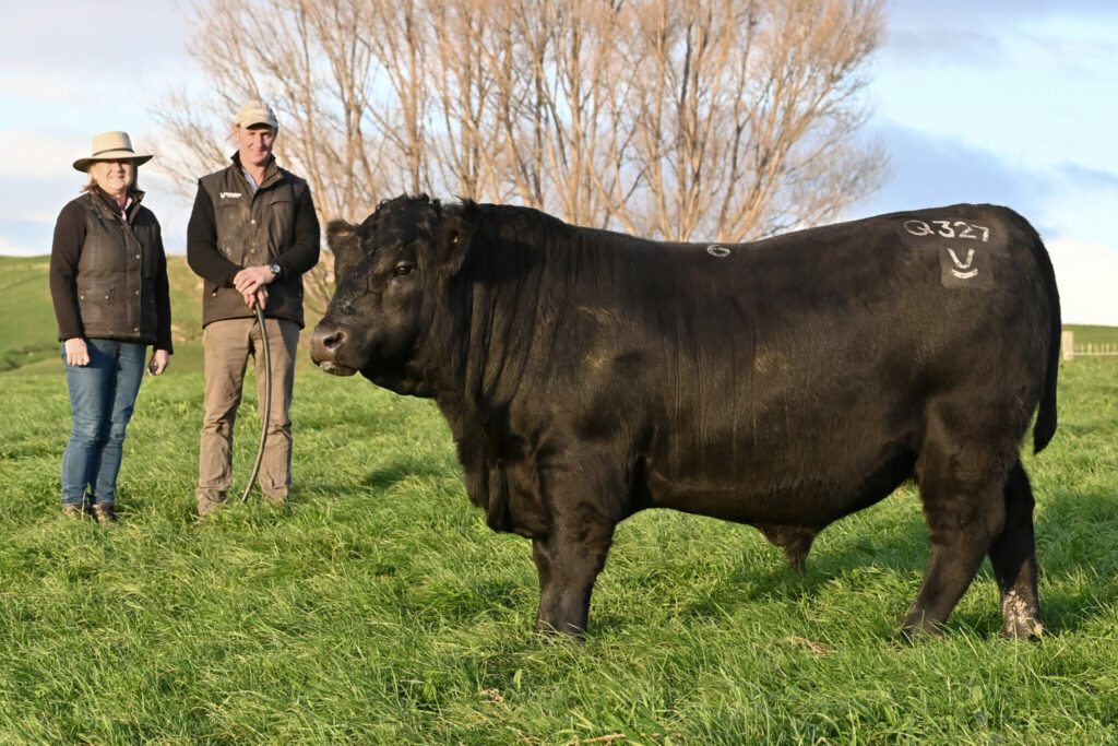 Kaharau Bull Sale - $106,000